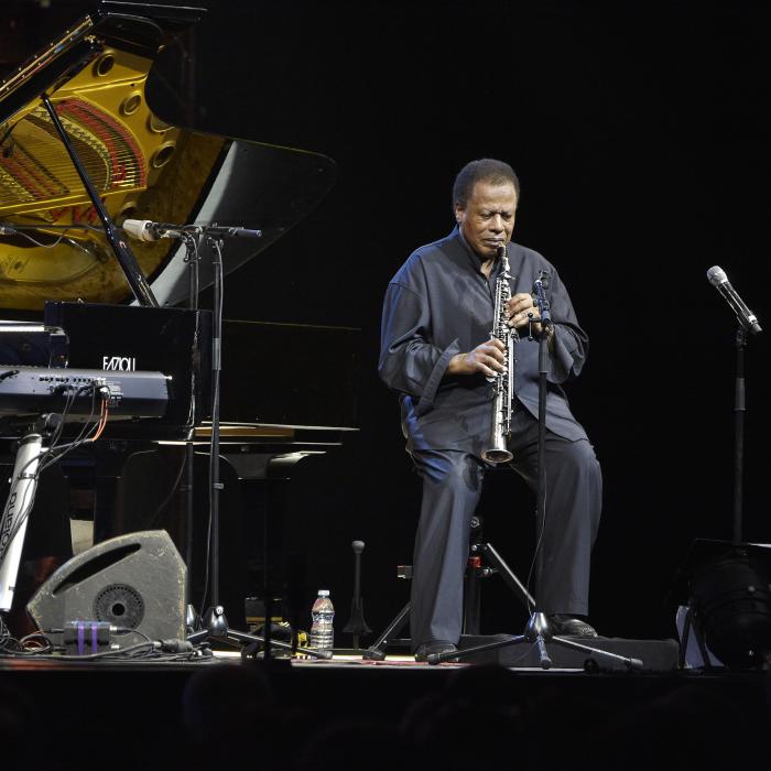 HERBIE HANCOCK & WAYNE SHORTER