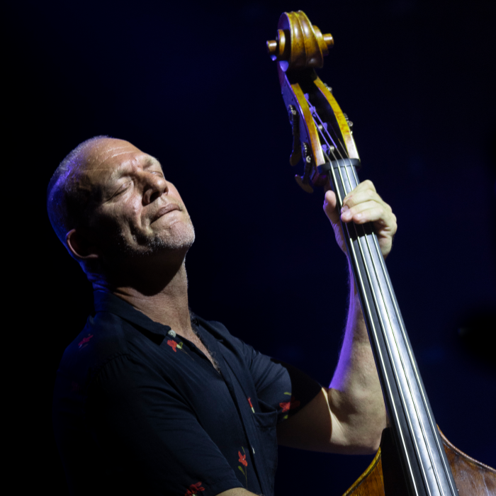 Avishai Cohen