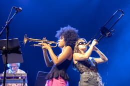 <p>Brooklyn Funk Essentials © Laurent Sabathé</p>